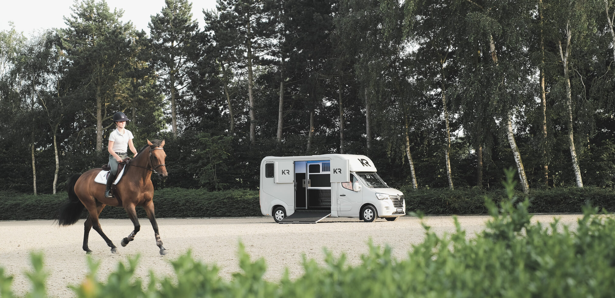 Een sfeerbeeld van een Krismar 2-paards met een bruin paard in beeld.