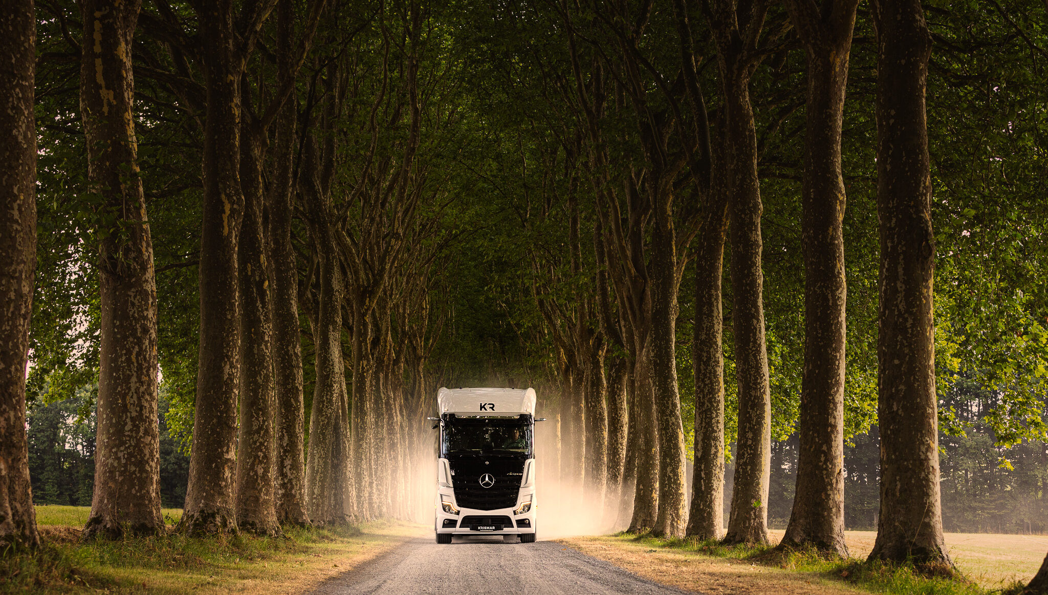 A white Mercedes truck with black painted grill driving in a gorgeous lane with giant trees.